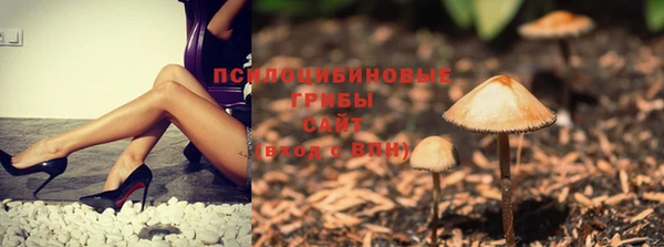 соль курить ск Надым