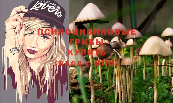 соль курить ск Надым