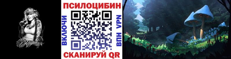Купить  Котлас  Галлюциногенные грибы MAGIC MUSHROOMS 