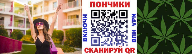 Купить  Котлас  Бошки марихуана THC 21% 